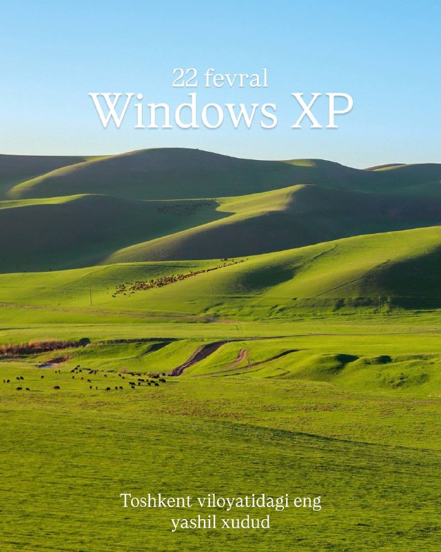 Холмы как в Windows XP