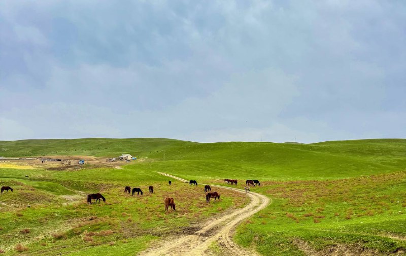 Холмы как в Windows XP — 3